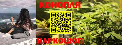 прущие крисы Ипатово