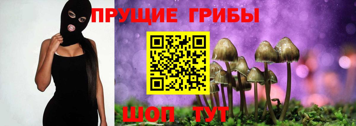Псилоцибиновые грибы Psilocybine cubensis Энгельс